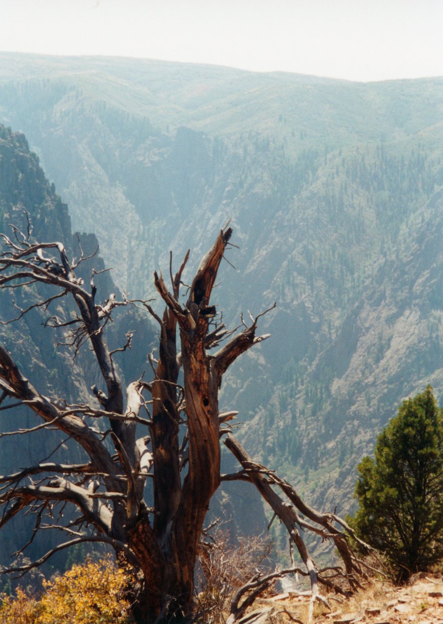 A and M trip to Co-Black Canyon-1996 2